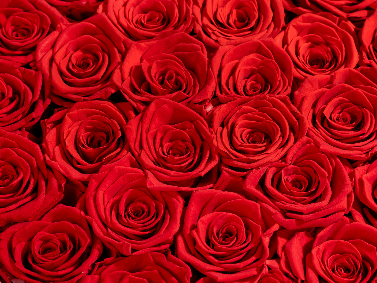 2-Dozen Roses In Marble Box