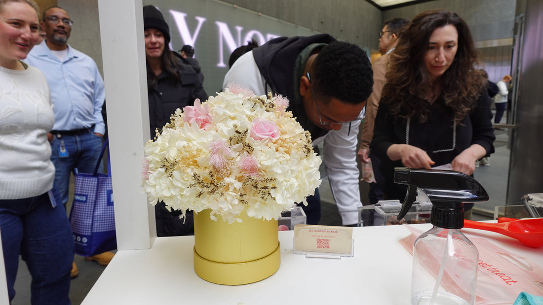 Lasting Brilliance and Little Sweet Treat at 4 World Trade Center