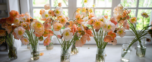 A Year Full of Flowers