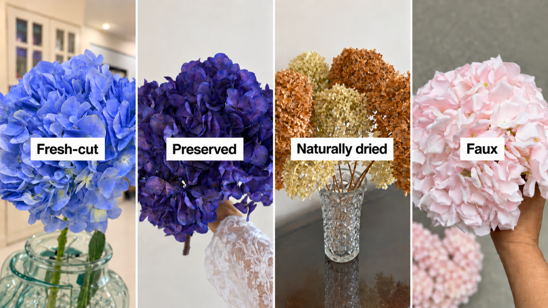 Fresh-cut, preserved, naturally dried, and faux hydrangeas compared side by side