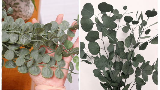 Artificial foliage beside real preserved eucalyptus, showing differences in shine, texture, and leaf variation