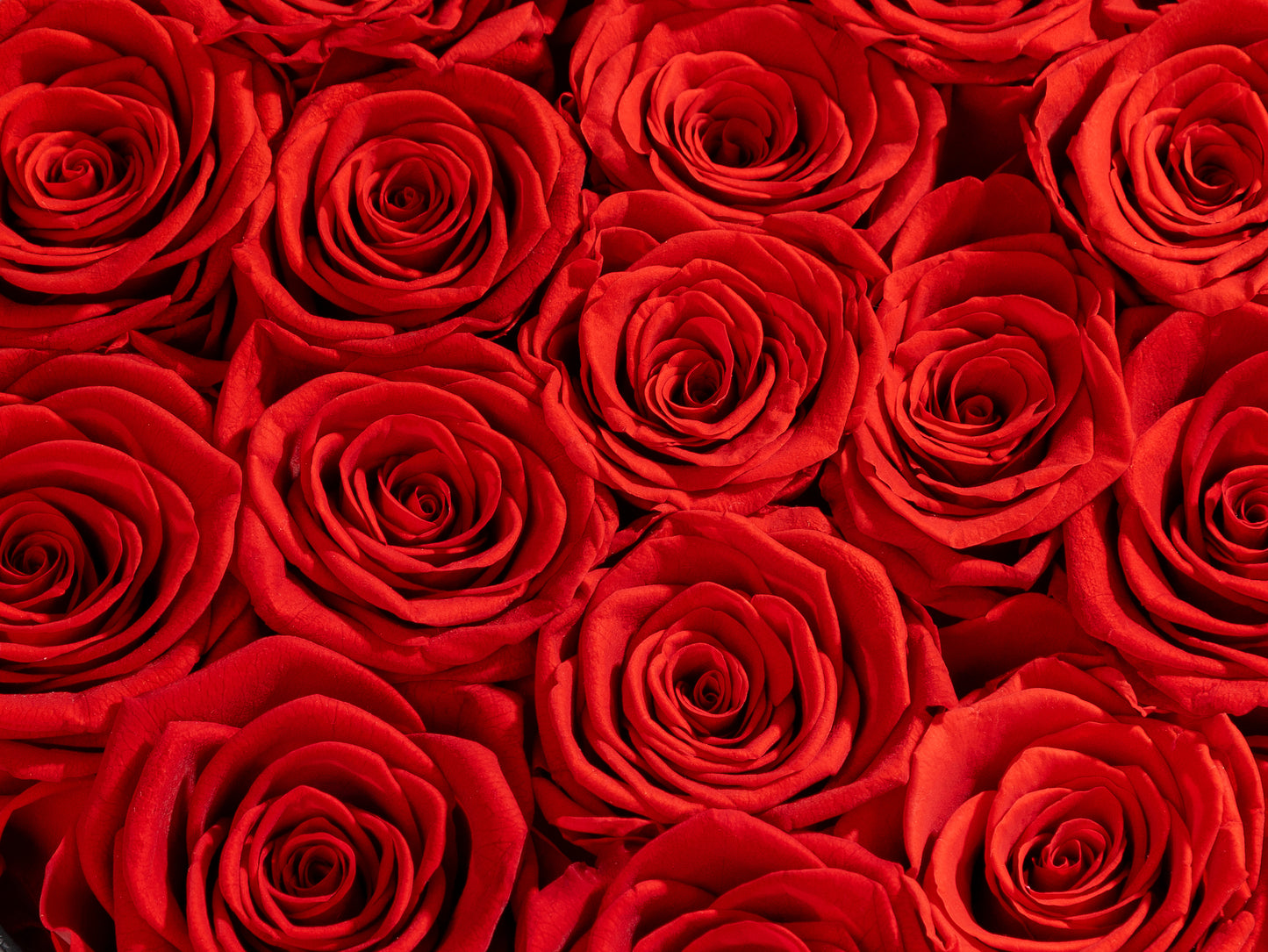 16 Roses In Black Box