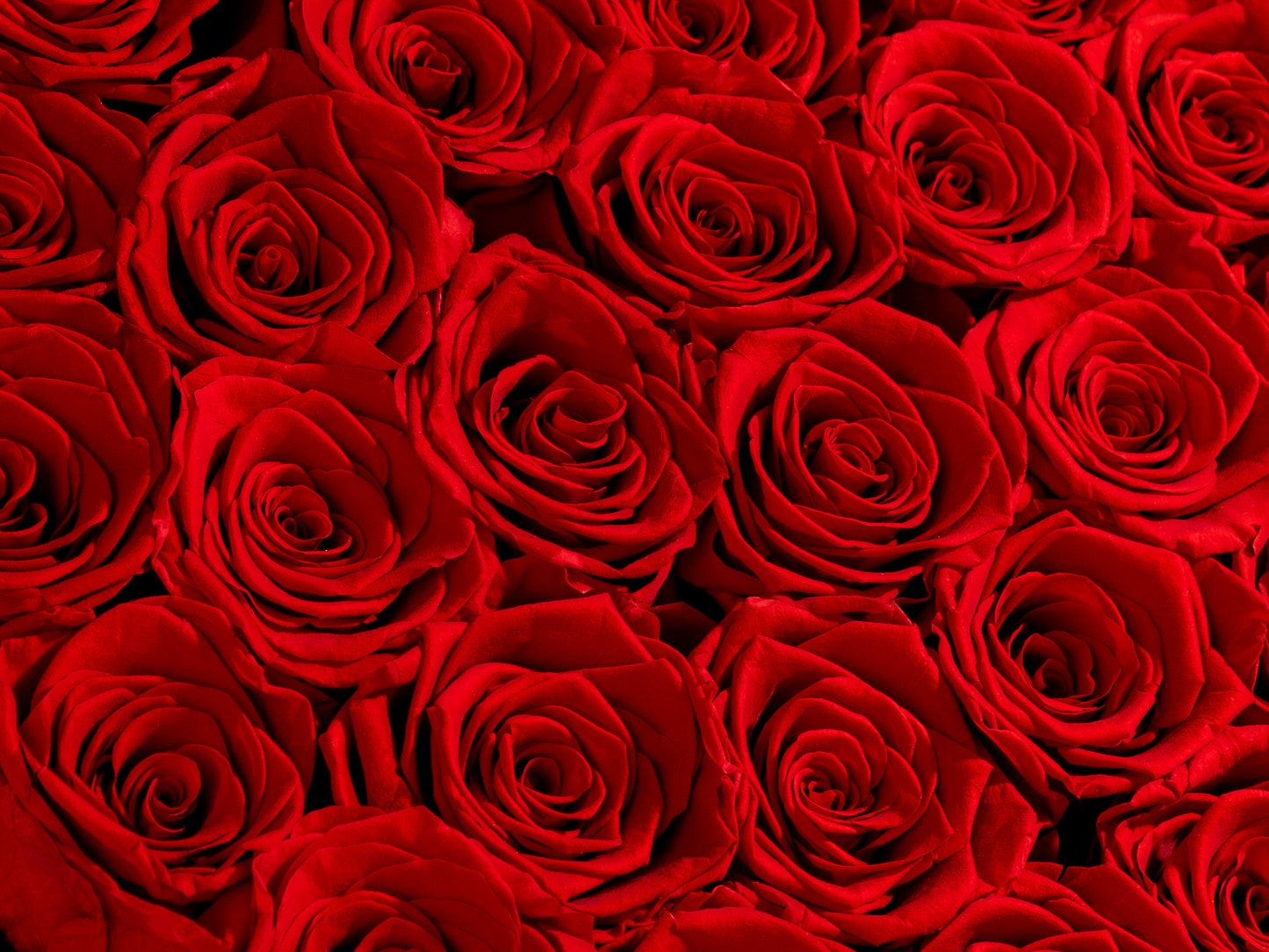 2-Dozen Roses In Black Box