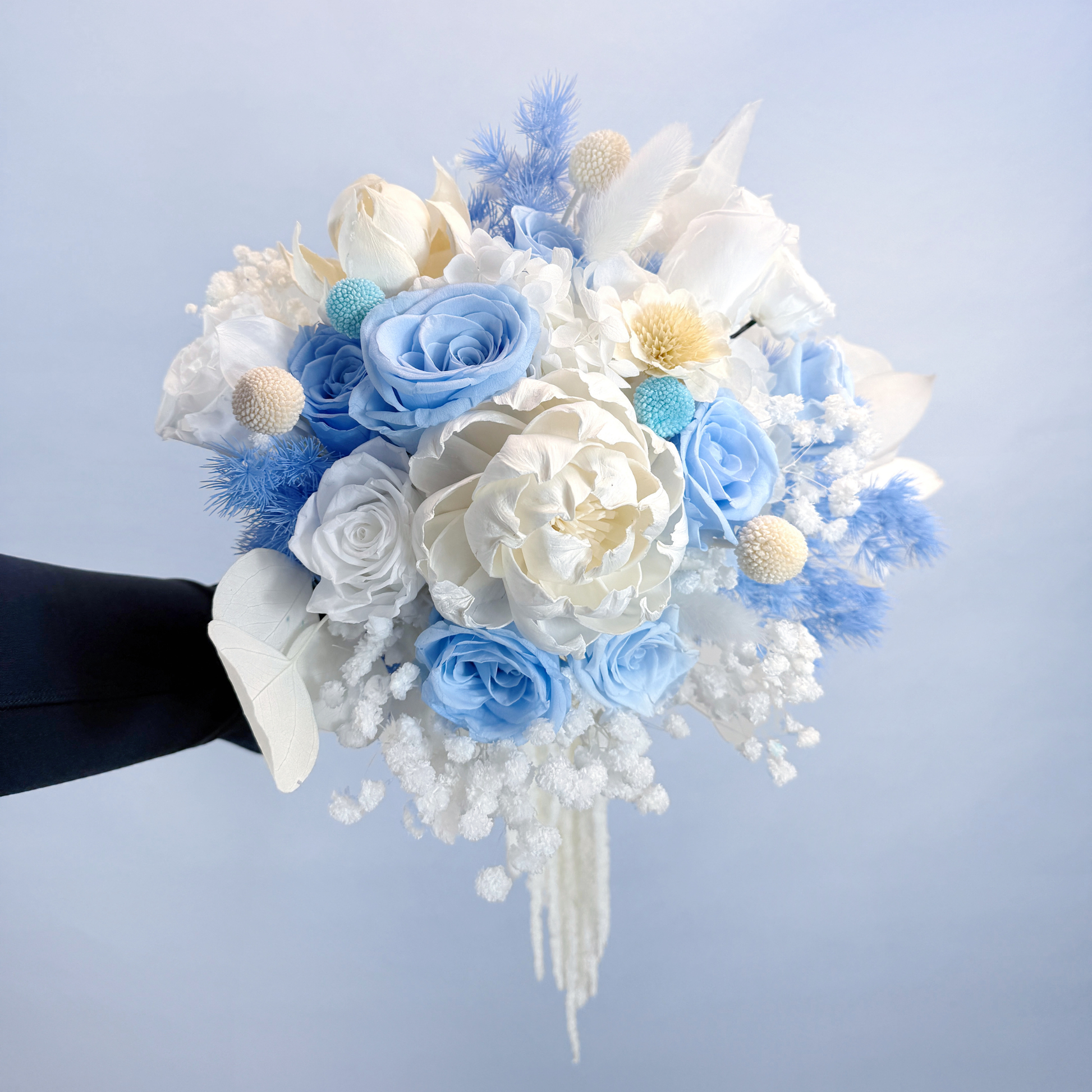 Hand holding Sapphire Veil Preserved Flower Bouquet showing full arrangement with blue roses, white pith flower, eryngium and white eucalyptus leaves
