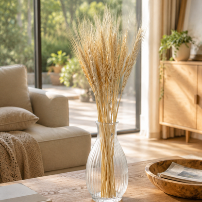 Cream dried wheat grains bunch styled in a vase for home decor