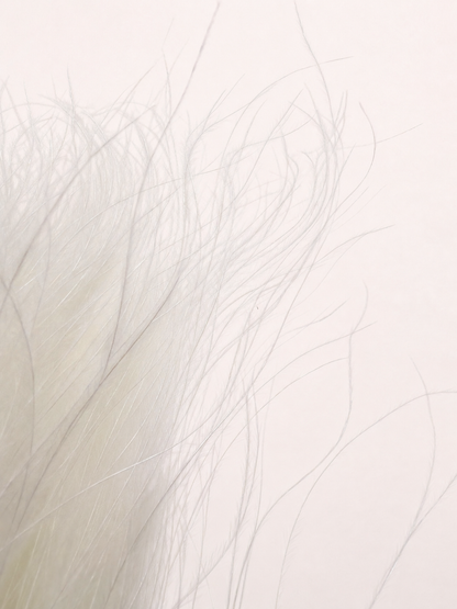 Close-up detail of soft white preserved feather grass