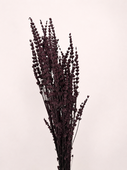 Natural preserved lavender flower bundle front view
