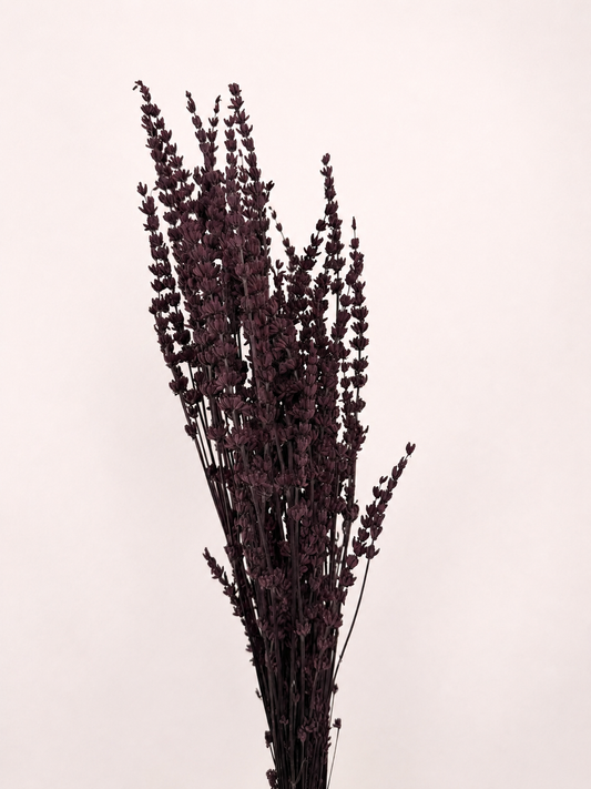 Natural preserved lavender flower bundle front view