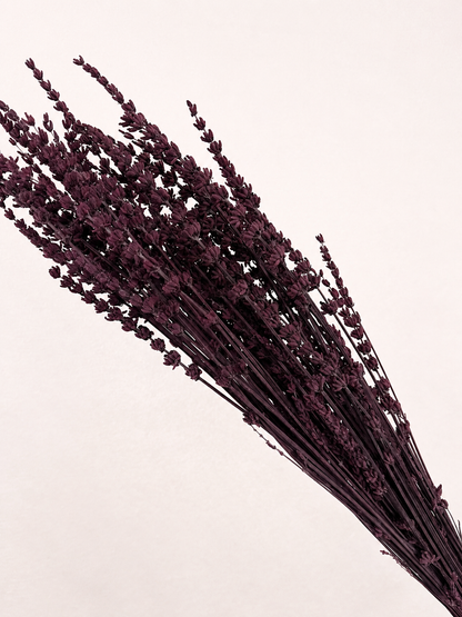 Angled view of natural preserved lavender flower bundle