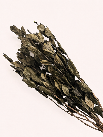 Side view of natural green preserved oak leaves stem
