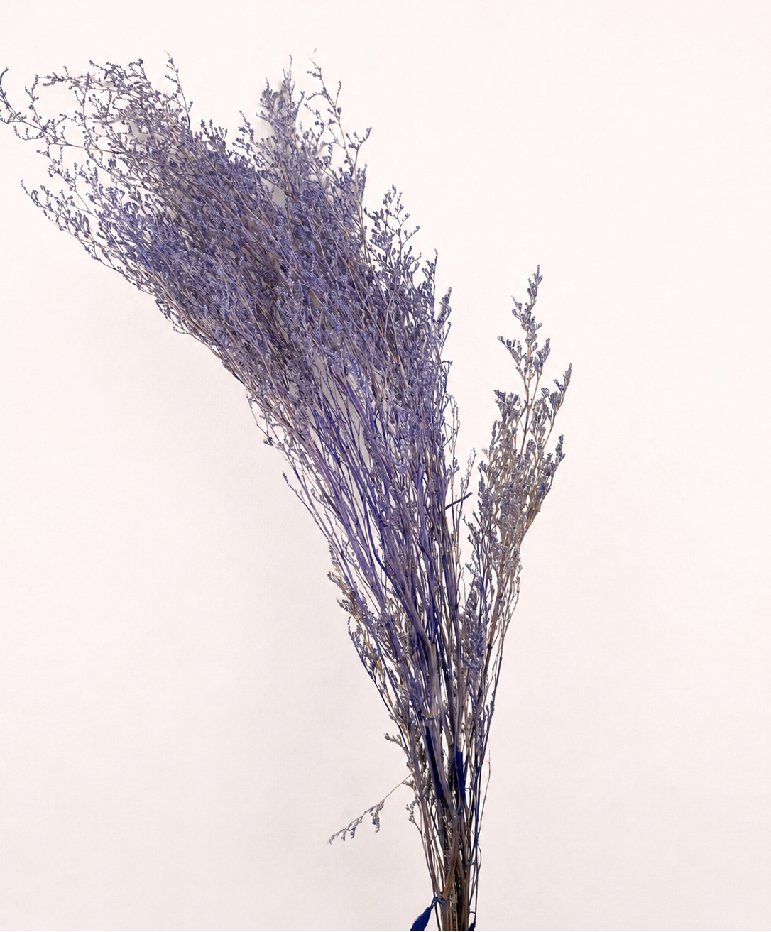 Purple preserved limonium statice 6 oz bundle front view