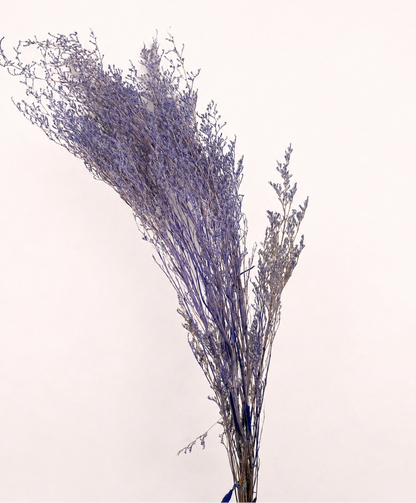 Purple preserved limonium statice 6 oz bundle front view