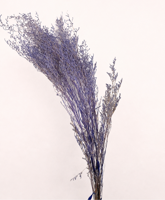 Purple preserved limonium statice 6 oz bundle front view