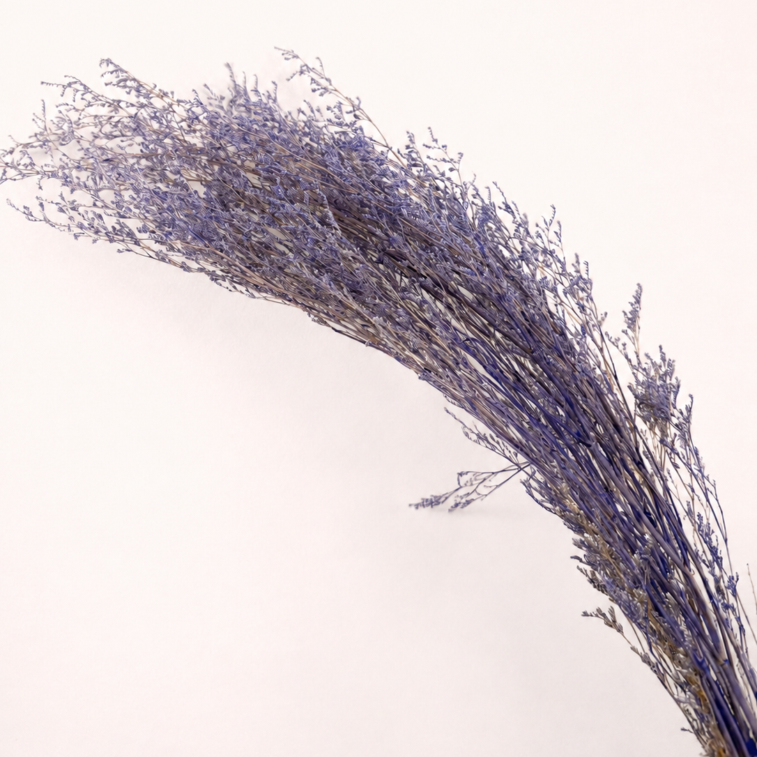 Side view of purple preserved limonium statice stems