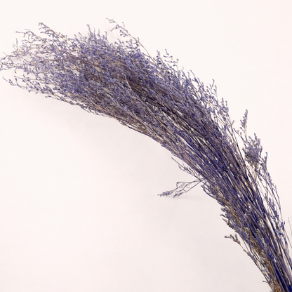 Side view of purple preserved limonium statice stems