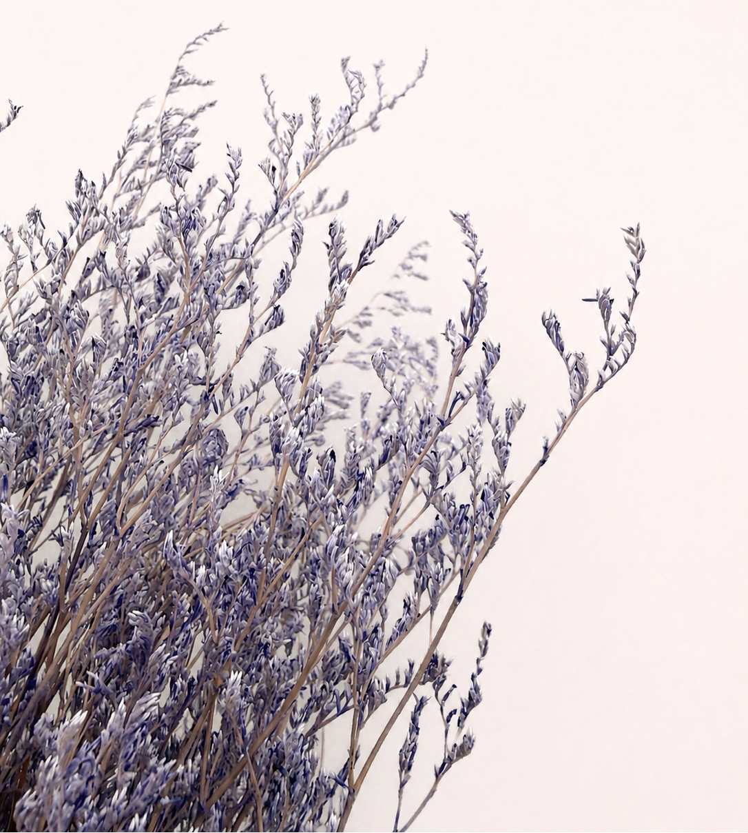 Close-up detail of purple preserved limonium statice flowers