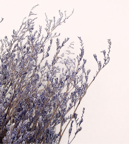 Close-up detail of purple preserved limonium statice flowers